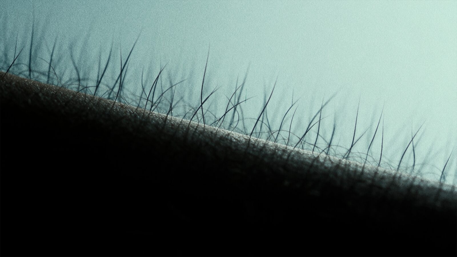 Eyelashes in silhouette against a pale sky.